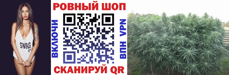 Где продают наркотики Новое Девяткино Cocaine Меф мяу мяу АМФ мега ТОР Гашиш Метадон СОЛЬ Канабис