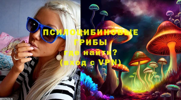 ECSTASY Алексин