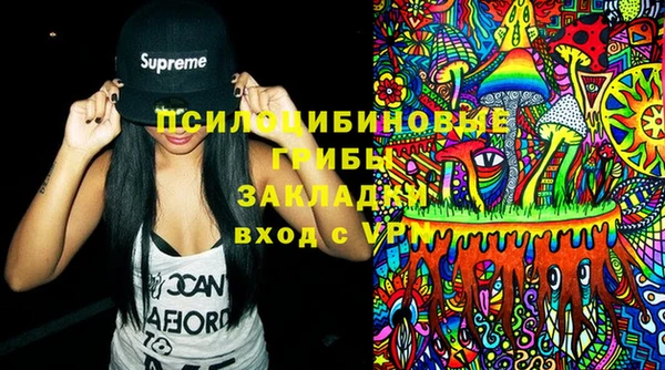 шишки Алексеевка