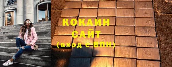 прущие грибы Абинск