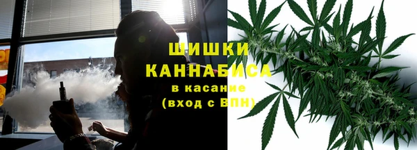 шишки Алексеевка