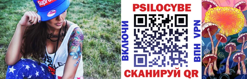 Галлюциногенные грибы Psilocybe  Новое Девяткино 